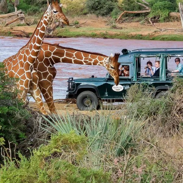 samburuintrepidscamp4_Seekers Tours and Safaris