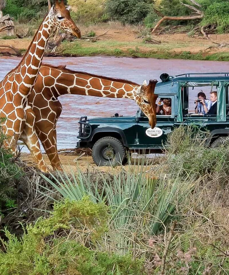 samburuintrepidscamp4_Seekers Tours and Safaris